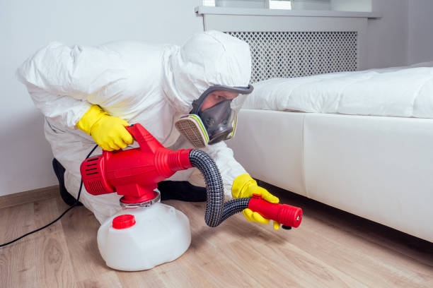 Best Termite Control Services  in Ruston, LA