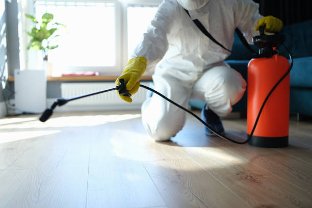 Best Pest Removal Services  in Ruston, LA