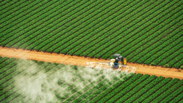 Best Best Pest Control Companies  in Ruston, LA